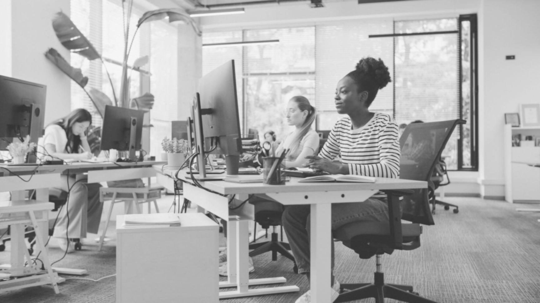 Session de formation interactive en ligne